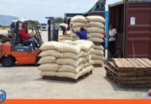 Venezuela concretó la exportación de toneladas de café verde con destino a Türkiye Venezuela exporta café a Türkiye