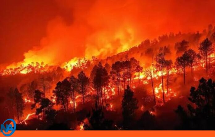 Venezuela incendios forestales España
