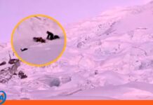 Avalancha en Perú deja un fallecido y varios heridos avalancha Perú
