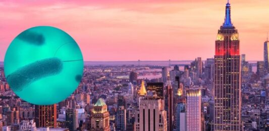 brote legionelosis Manhattan