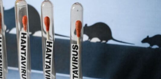 hantavirus Anzoátegui