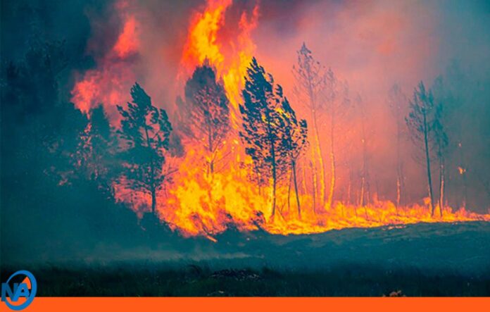 incendio Francia incendio Francia