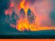 Nuevo incendio en Francia obliga a evacuar a casi 9.000 personas incendio Francia