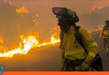 Al menos 12 fallecidos en un devastador incendio forestal en España incendio forestal España