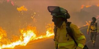 incendio forestal España
