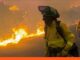 Al menos 12 fallecidos en un devastador incendio forestal en España incendio forestal España