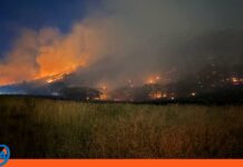 Humo de incendios en Canadá cancela 20 vuelos en Puerto Rico incendios Canadá