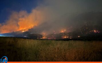 Humo de incendios en Canadá cancela 20 vuelos en Puerto Rico incendios Canadá