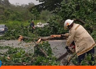 lluvias municipios Carabobo
