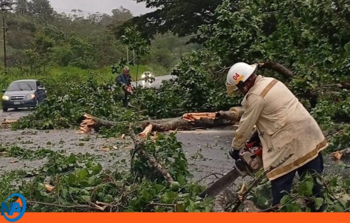 lluvias municipios Carabobo