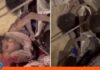Milagro en La Guaira: Rescatan a familia tras 11 días bajo los escombros rescatada familia La Guaira