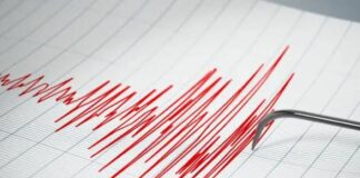 sismo La Guaira lunes