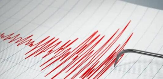 sismo La Guaira lunes
